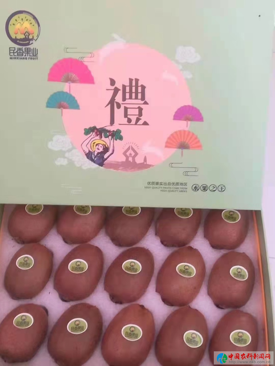 图片3