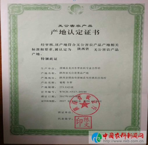 图片5