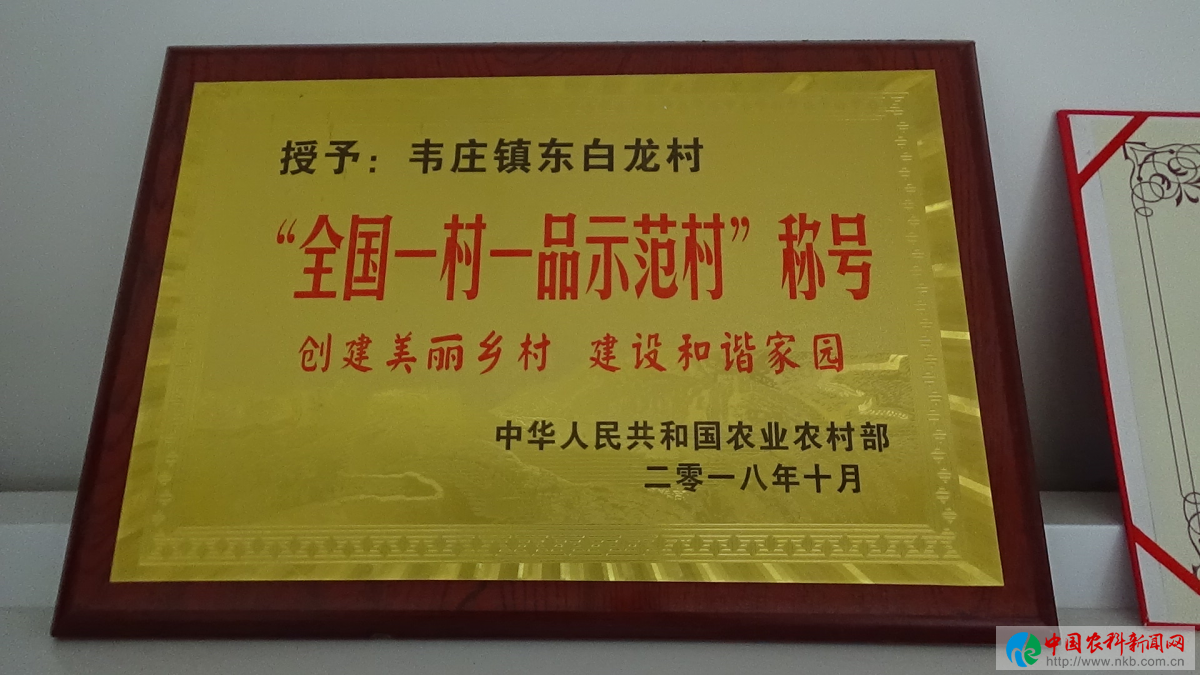 图片6