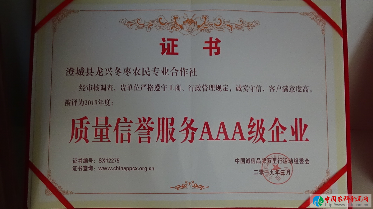 图片7
