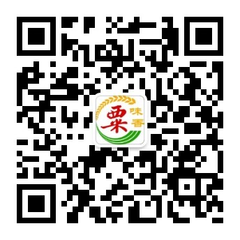 图片8