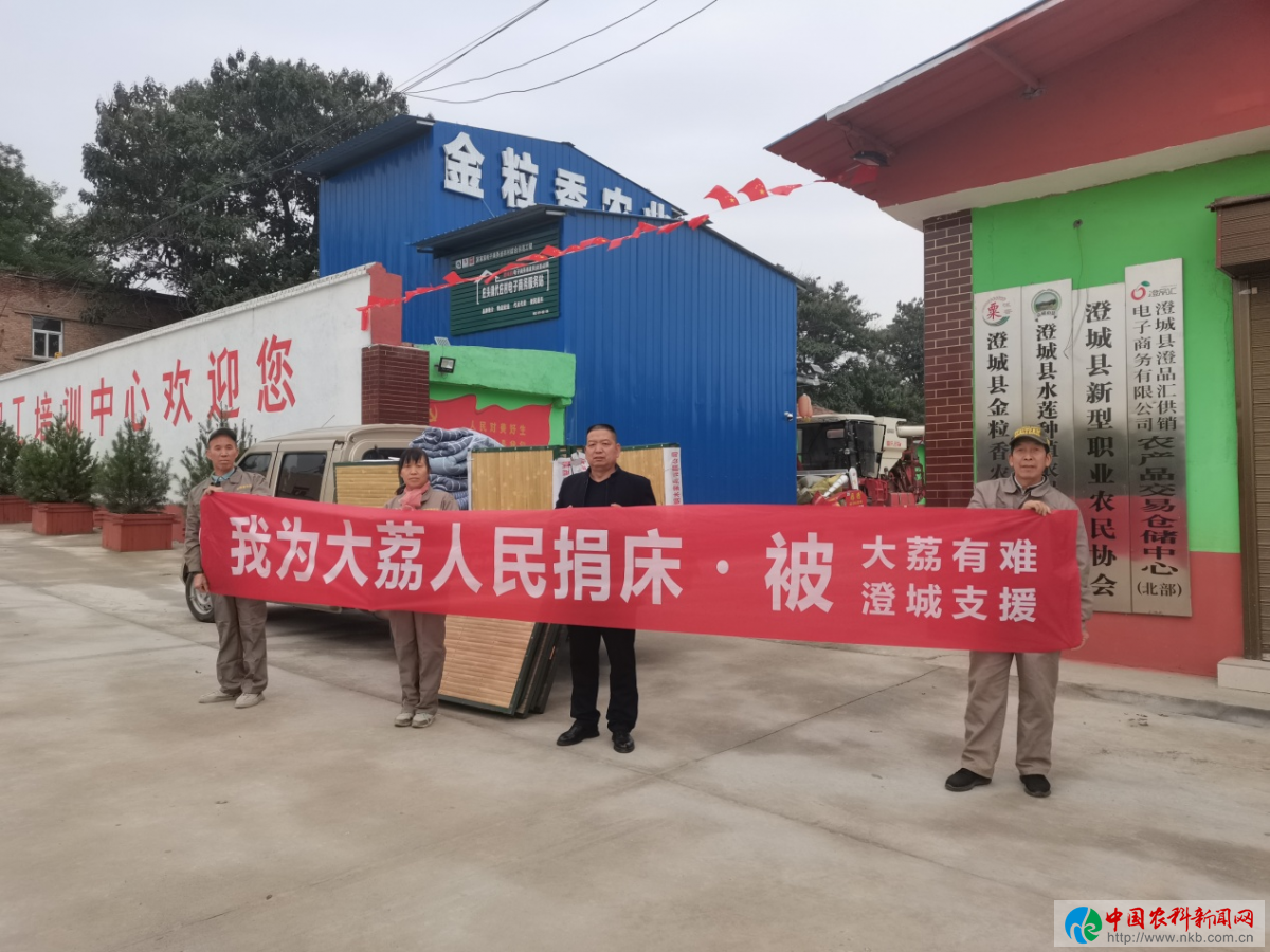 图片11