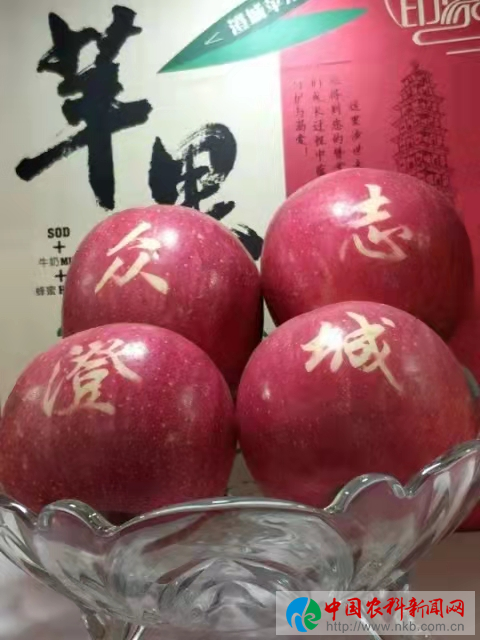 图片19