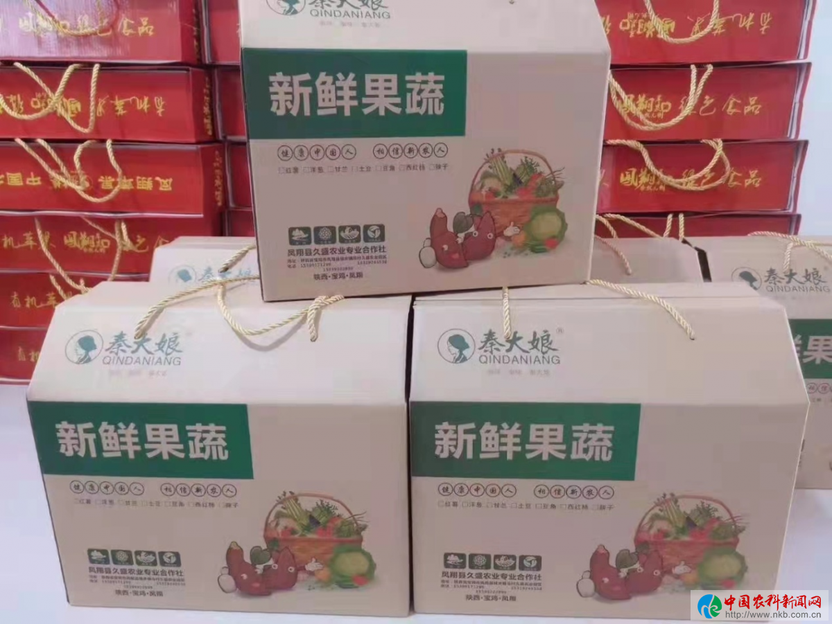 图片2