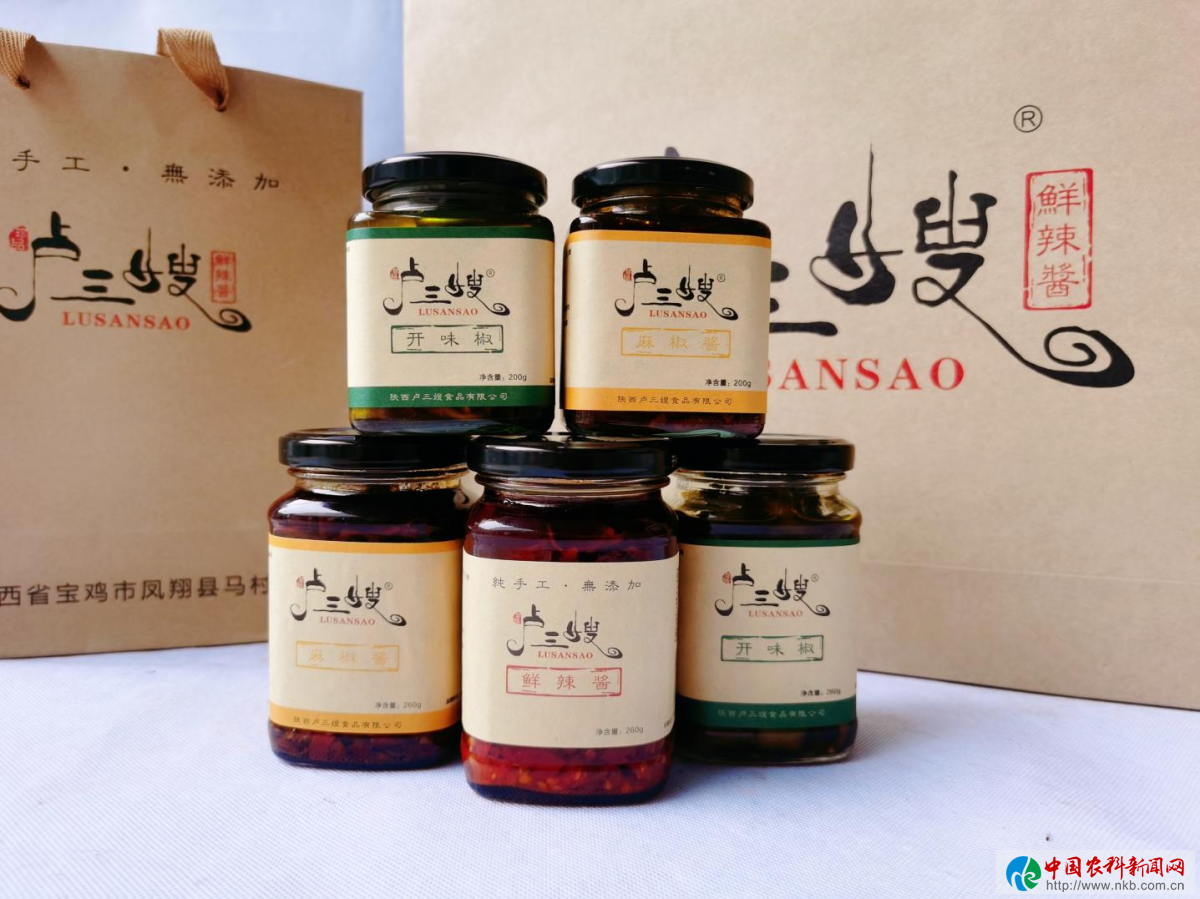 图片3