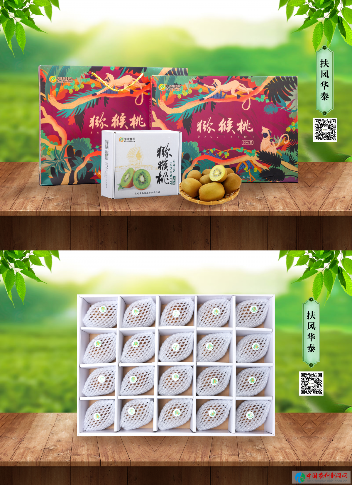 图片12