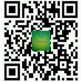 图片11
