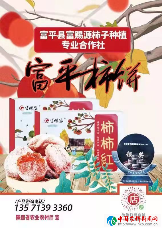 图片25