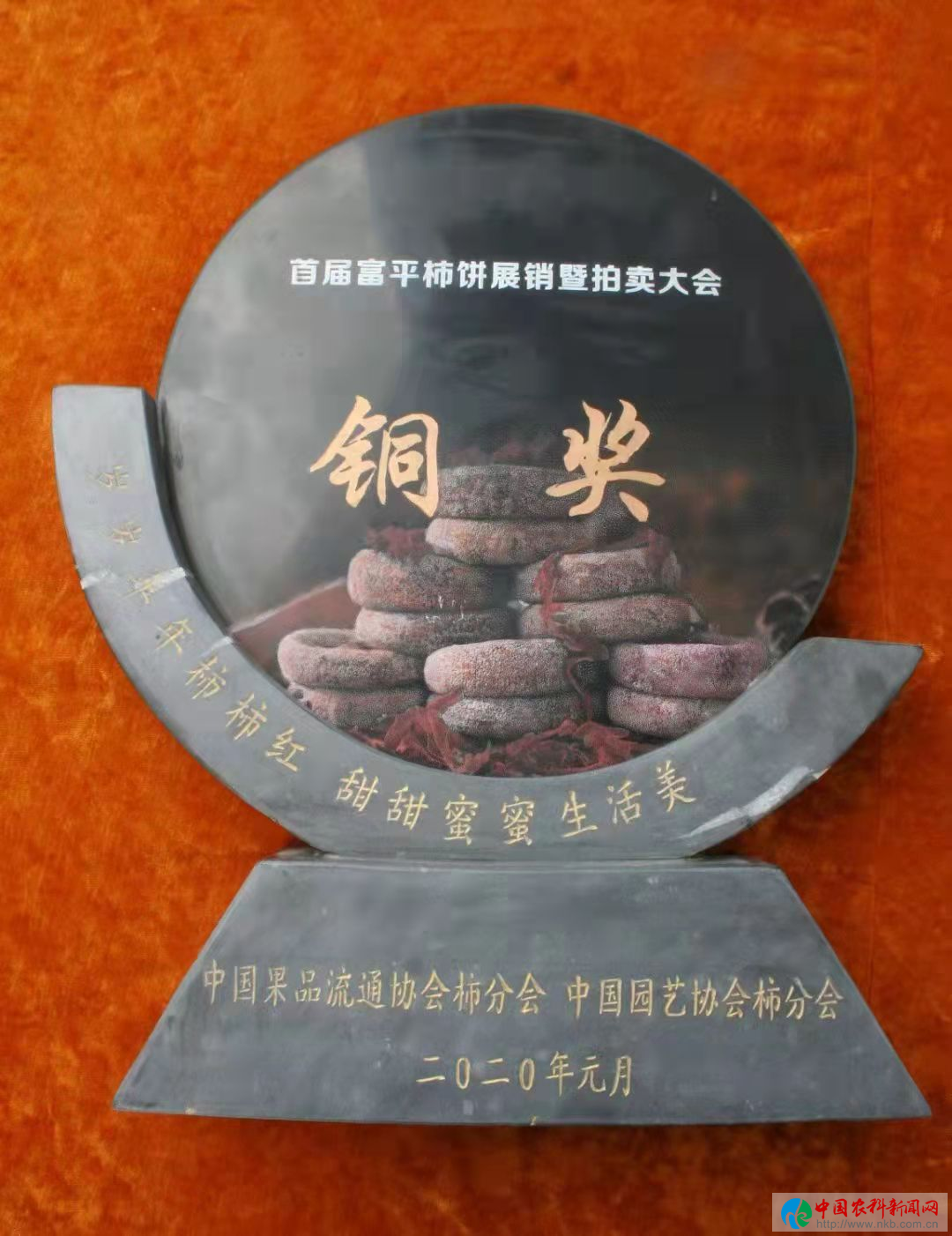 图片26