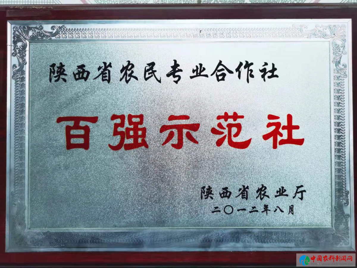图片28