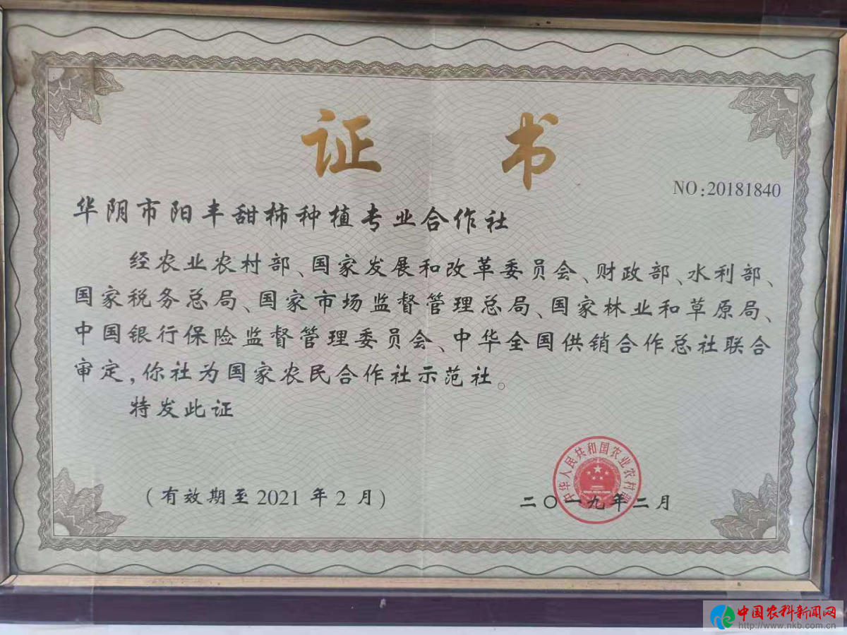 图片8
