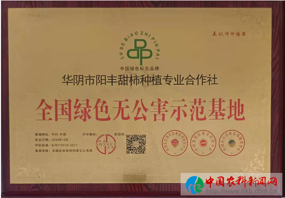 图片9