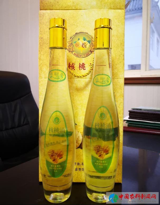 图片11