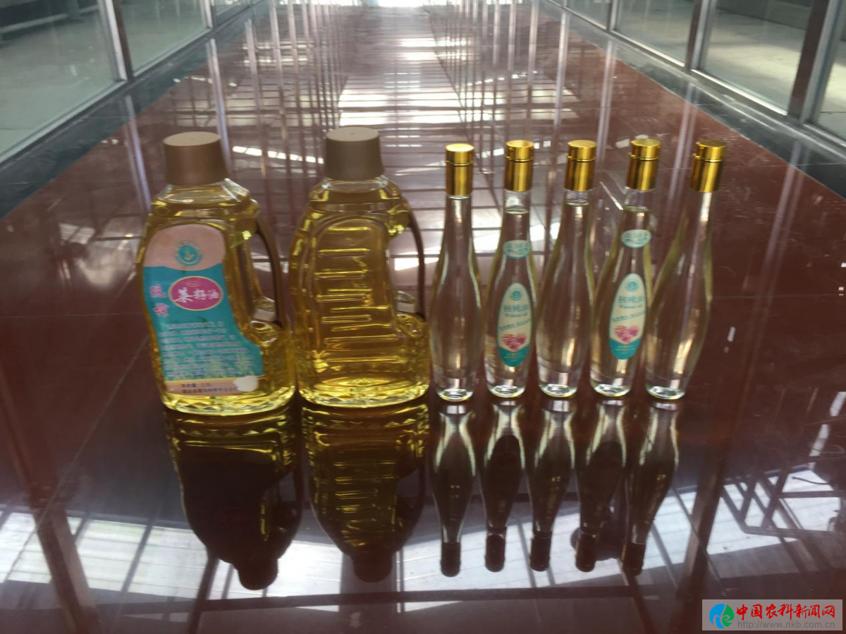 图片13