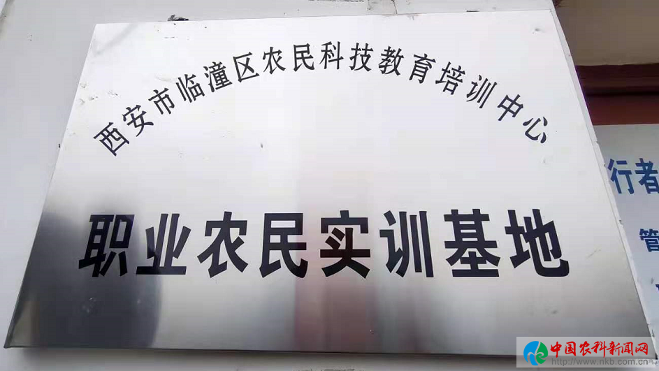 图片14