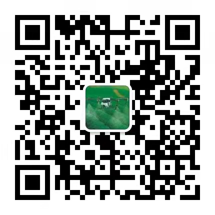 图片22