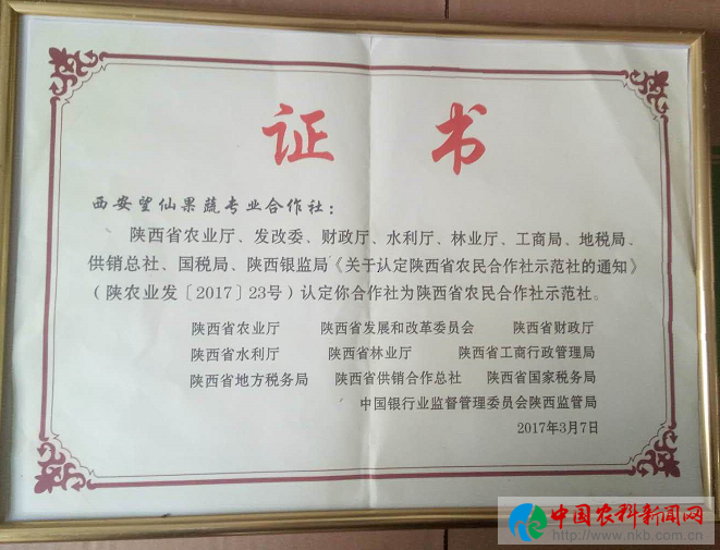 图片17