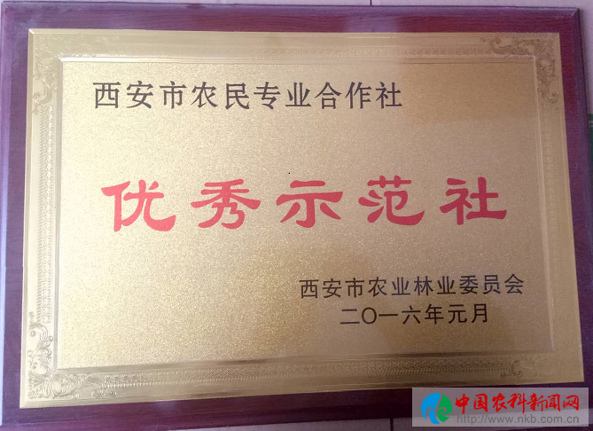 图片18