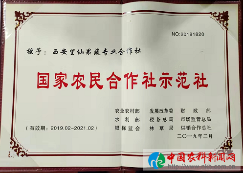 图片20
