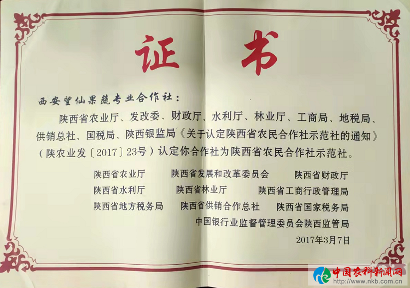 图片21