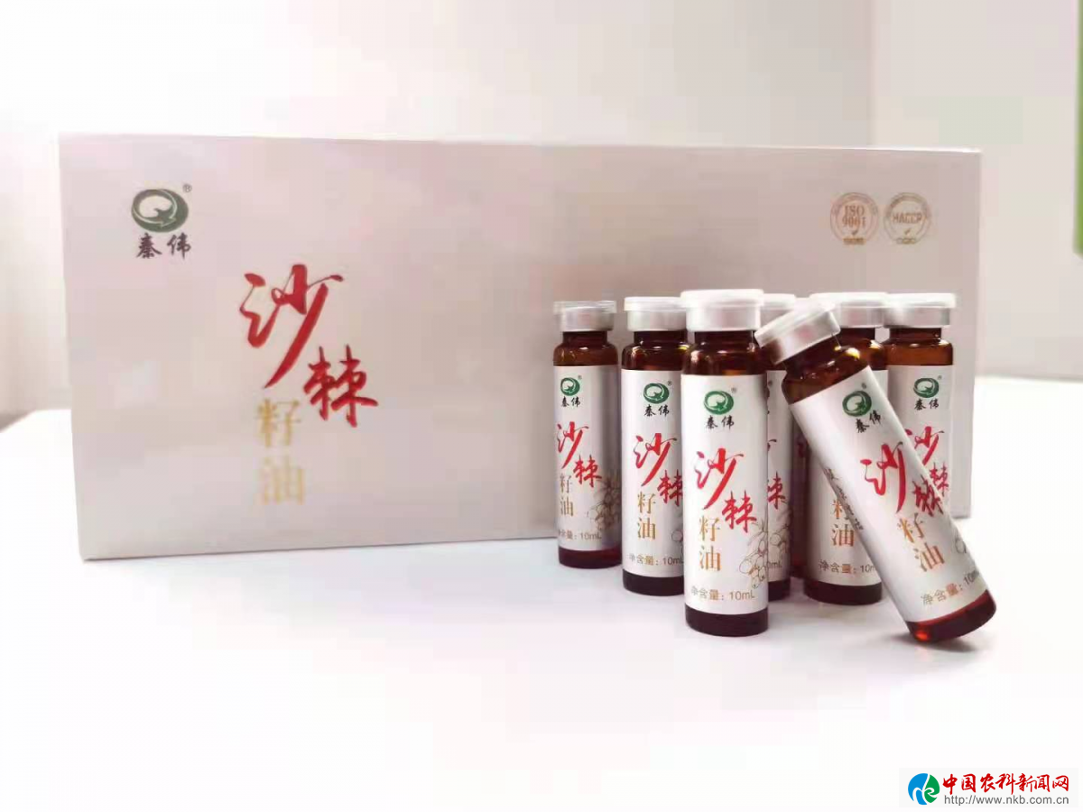 图片12