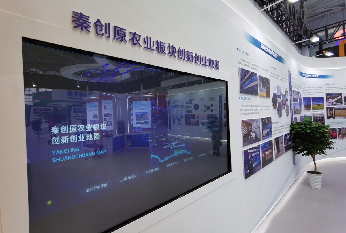 图片3