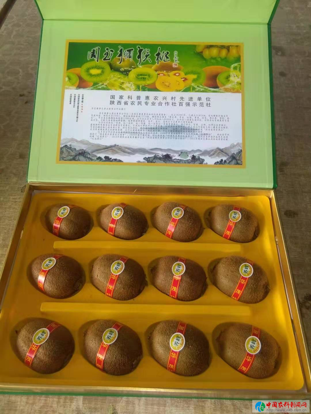 图片16