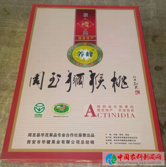 图片18