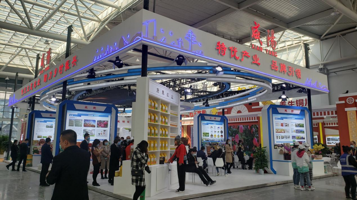 图片3