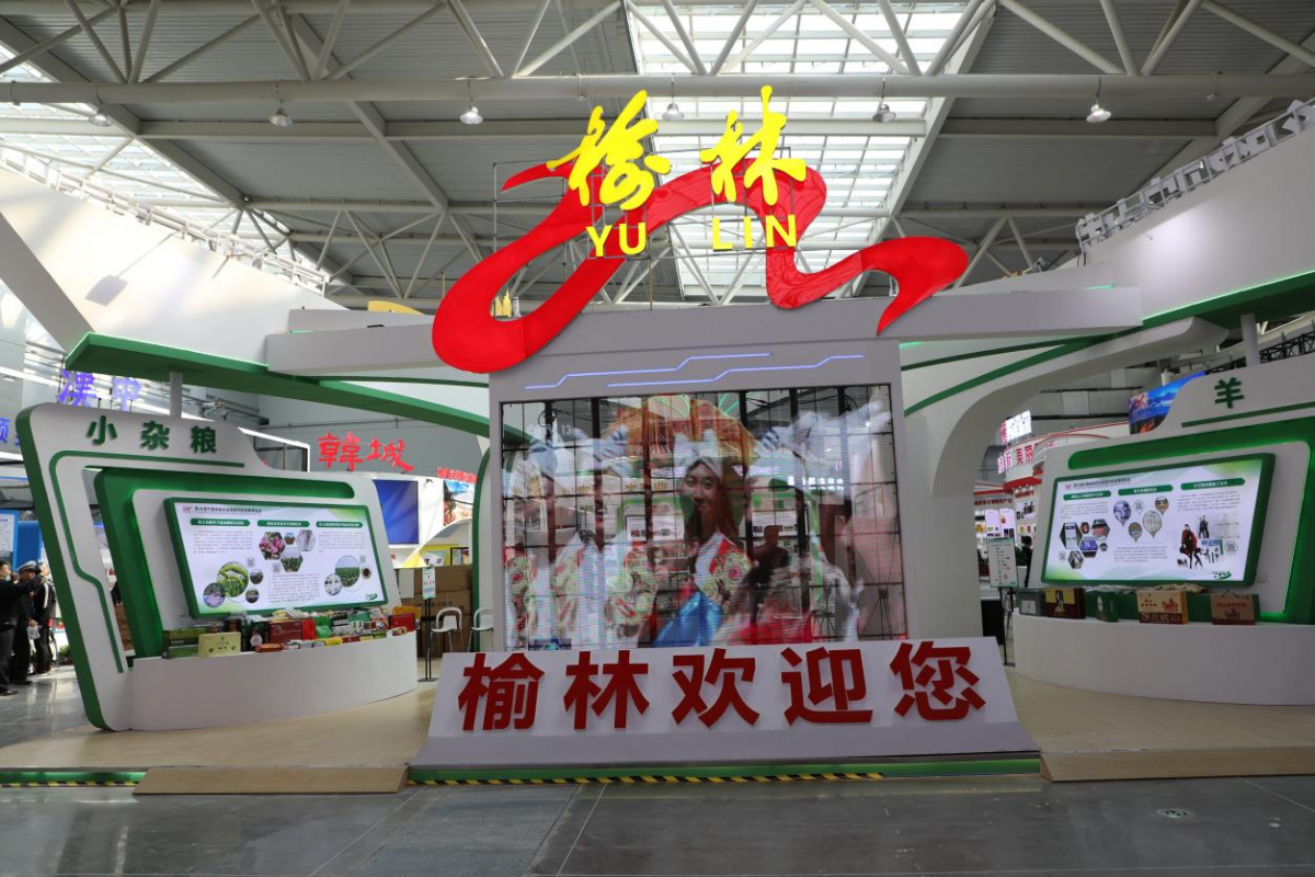 图片4