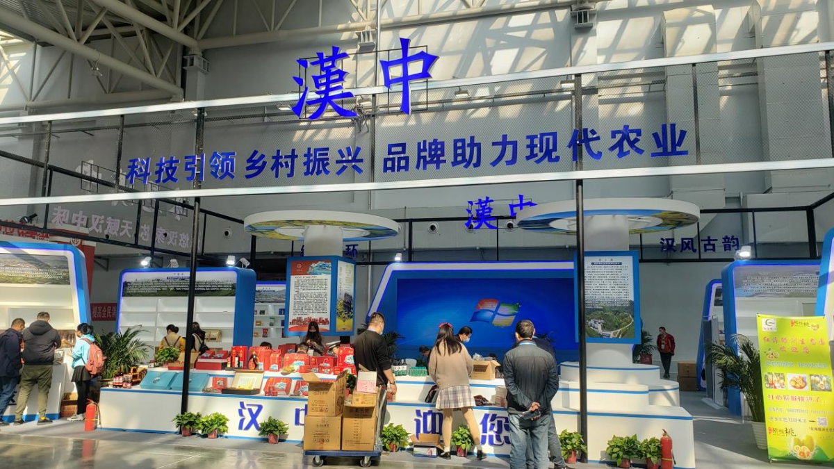 图片7