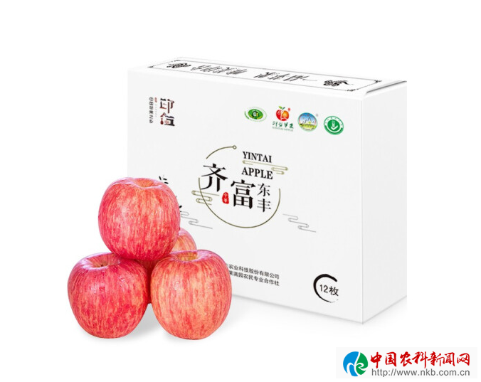 图片24