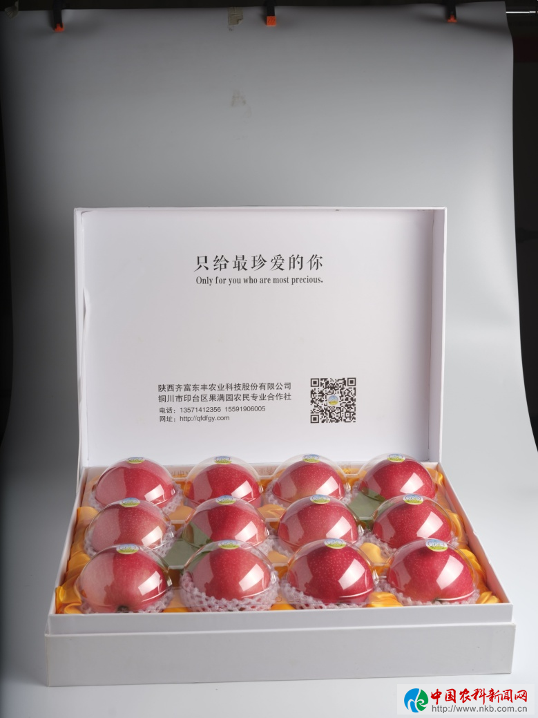 图片26