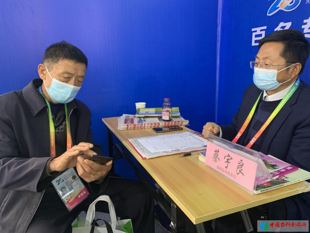 图片24