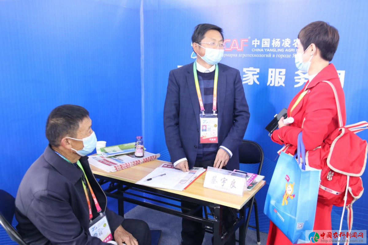 图片26