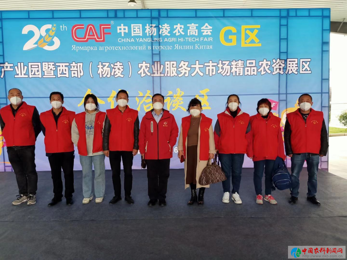 图片7