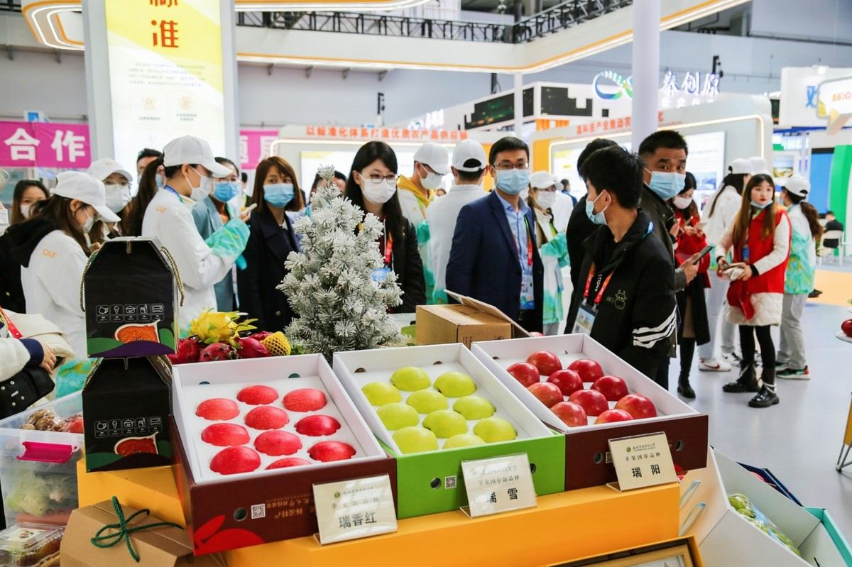 图片3