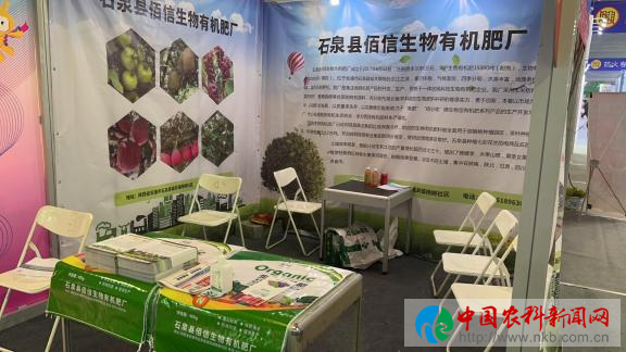 图片15