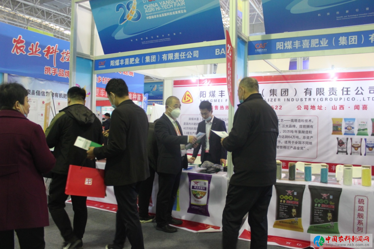 图片16