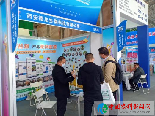 图片17