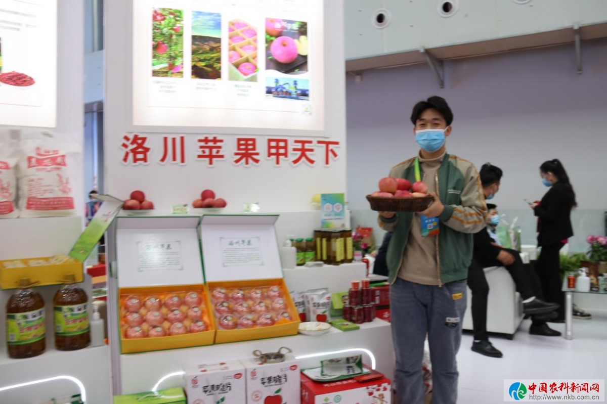 图片20