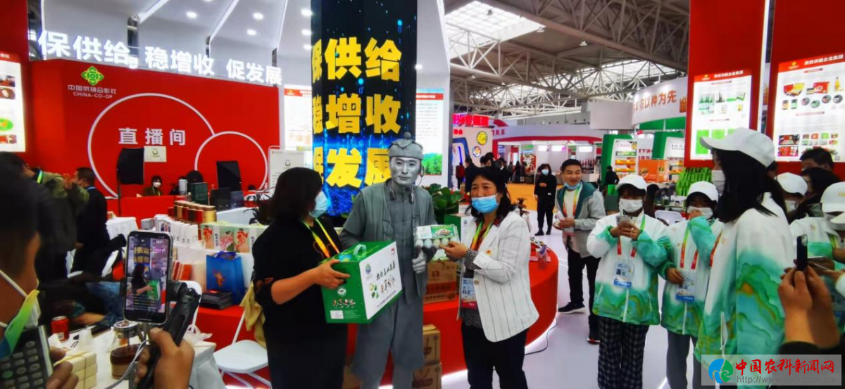 图片19