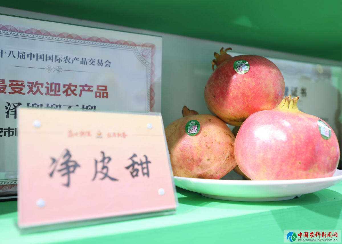 图片28