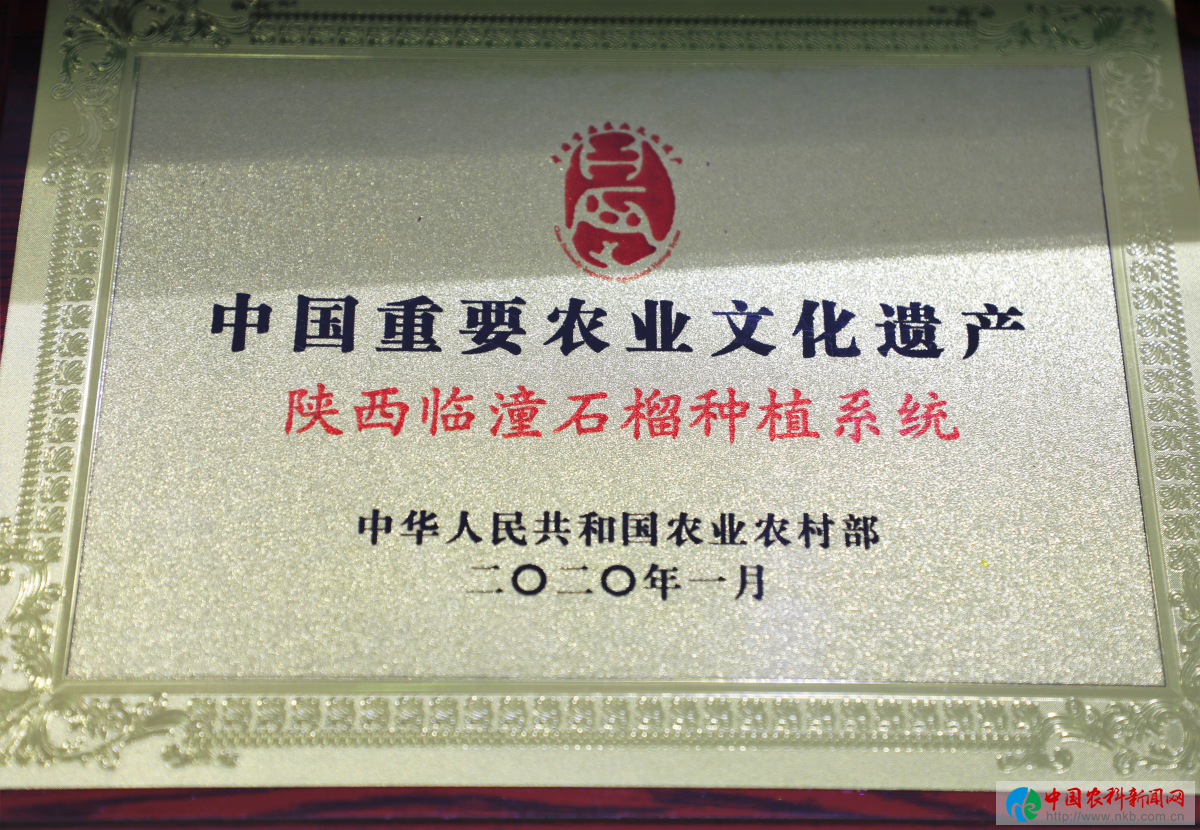 图片30