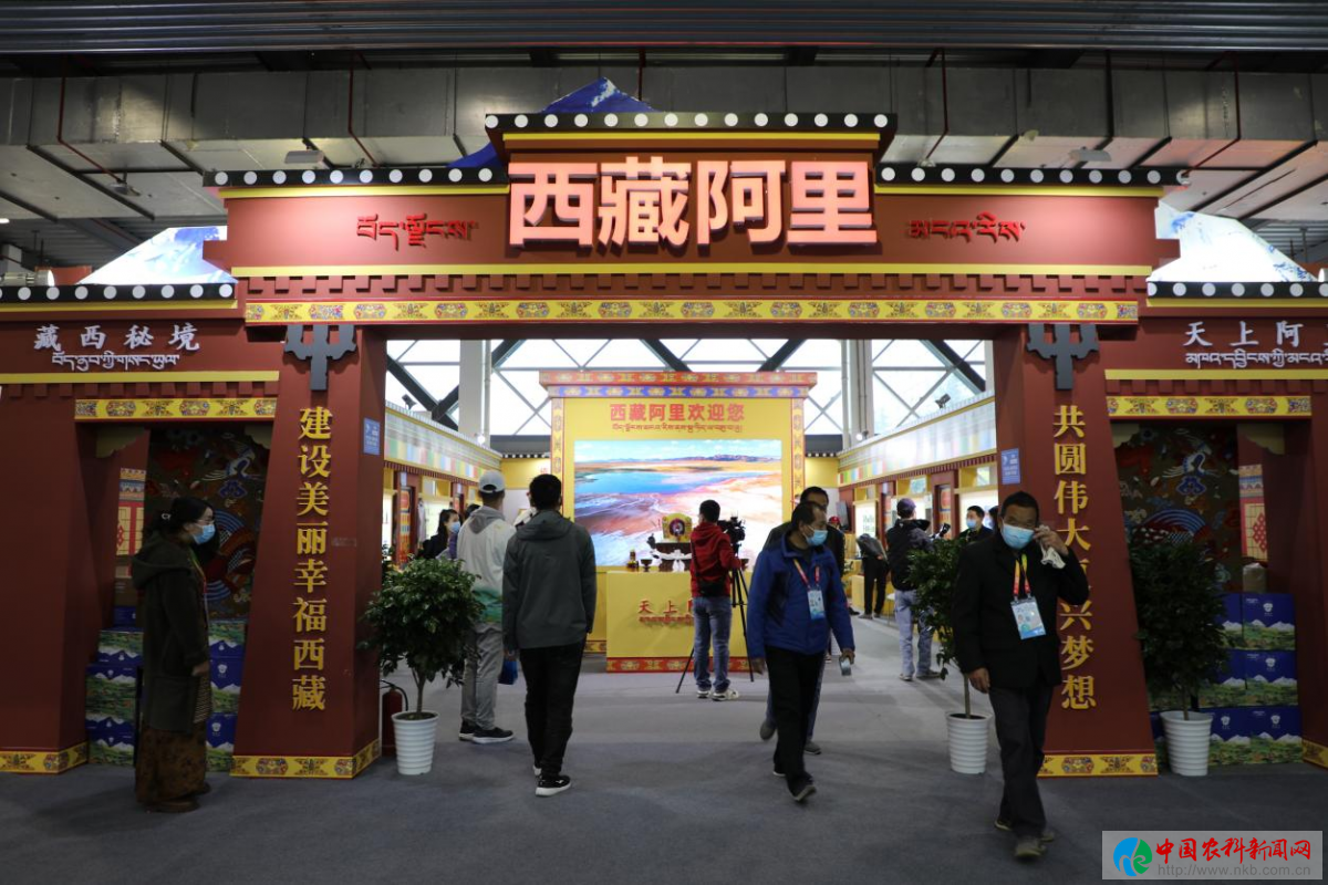 图片7