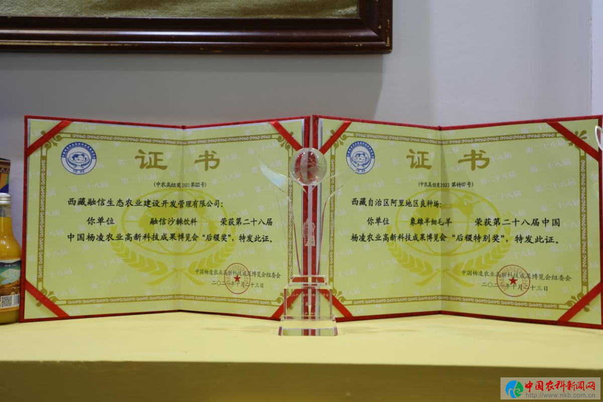图片10