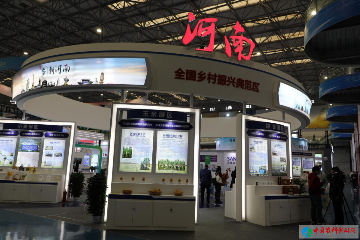 图片12