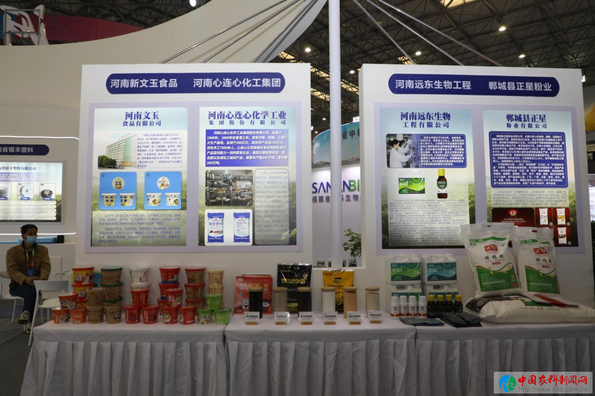 图片15