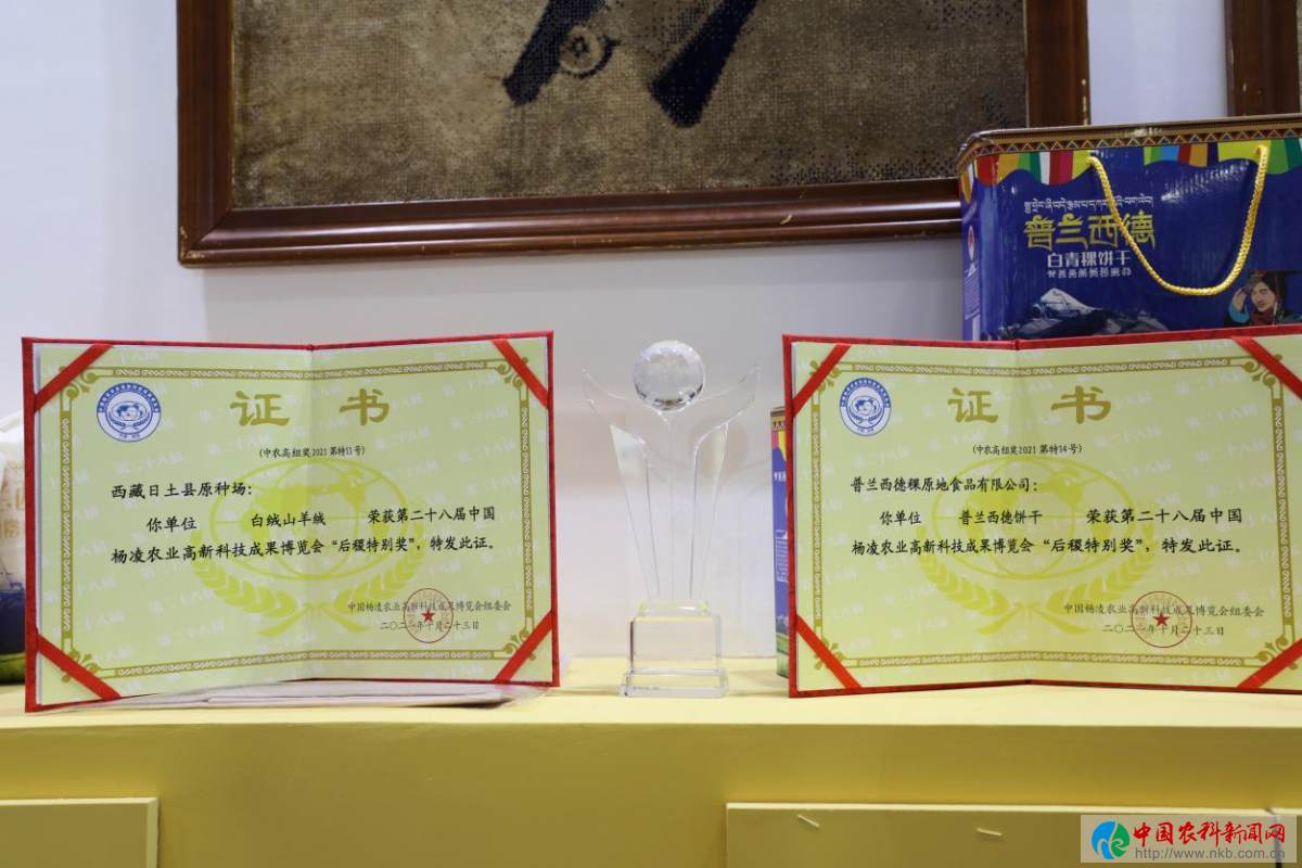 图片16