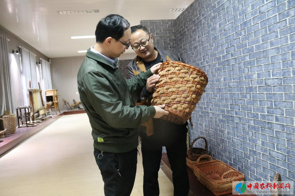 图片1